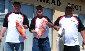 Skrif is aan die muur